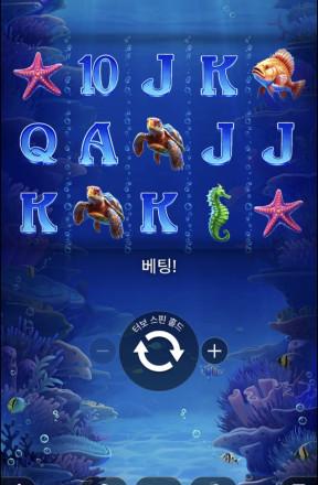 솔카